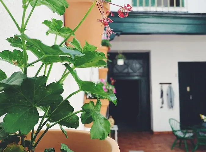 Homestay Maria Magdalena - 6 Malaga